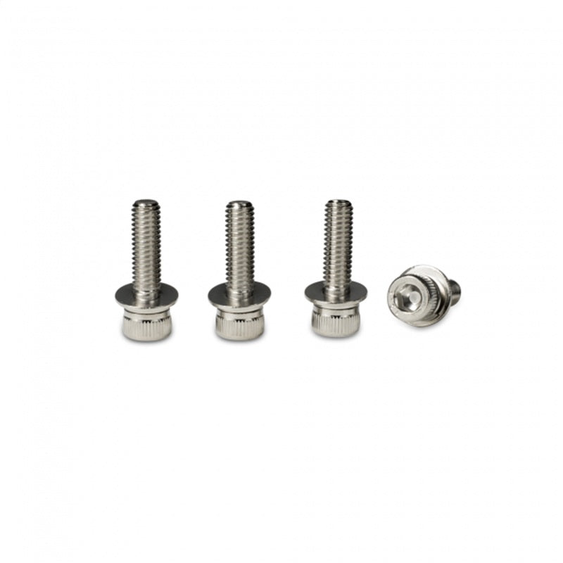 Skunk2 Racing Camber Kit Bolts M6x1.0x22mm with Washers - OneFastShop