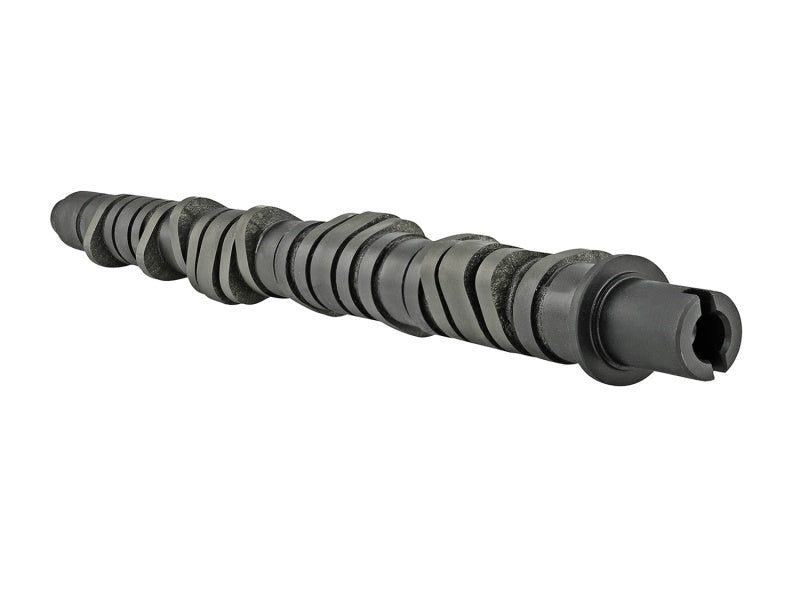 Skunk2 Tuner Series Stage 4 Camshaft for Honda D-Series - Fits Various Civic Models