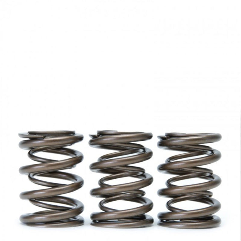 Skunk2 Tuner Series Alpha Valve Spring Set Dual Springs for Honda/Acura H22A F20B 1993-2001 Prelude
