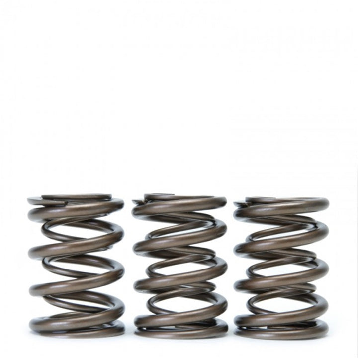 Skunk2 Tuner Series Alpha Valve Spring Set Dual Springs for Honda/Acura H22A F20B 1993-2001 Prelude
