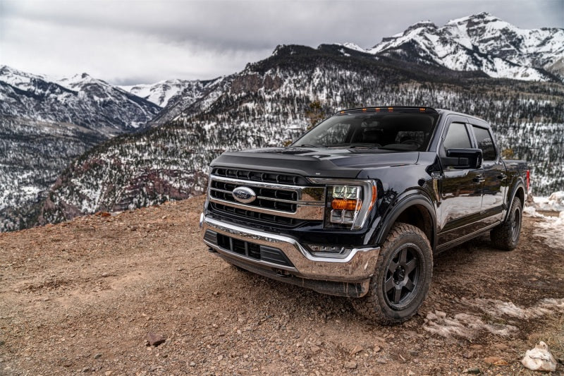 Husky Liners Aeroskin II Low Profile Bug Shield Black for 15-20 Ford F-150 Excl. Raptor