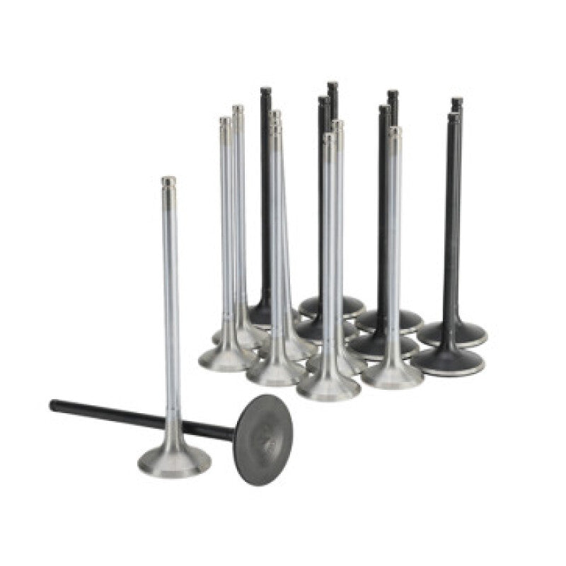 Skunk2 Valve Set Alpha Series Intake Exhaust K20C1 - OneFastShop