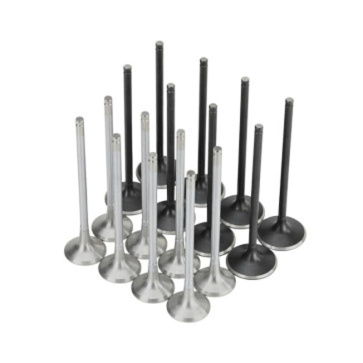 Skunk2 Valve Set Alpha Series Intake Exhaust K20C1 - OneFastShop