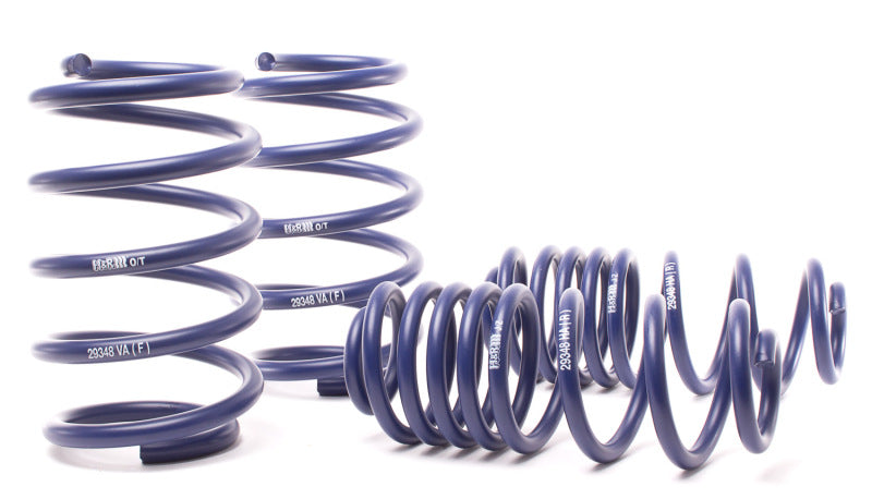 H&R Sport Lowering Springs - BMW X5 2000-2006 (29378-2)