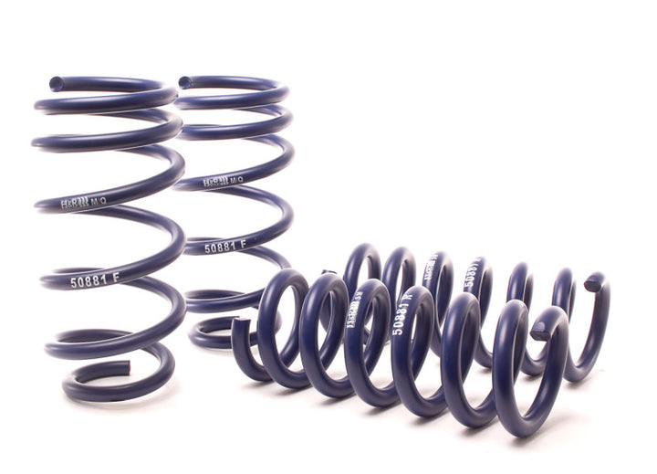 H&R Sport Spring for 11-21 Dodge Charger SE/SXT/SXT Plus (2WD/4WD) Rallye/Plus/V6
