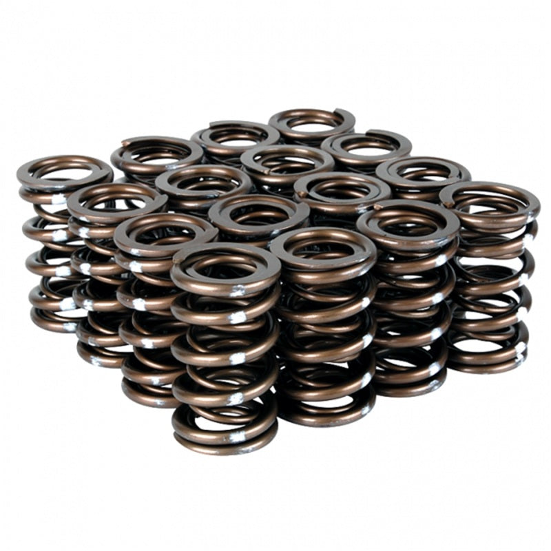 Skunk2 Racing Pro Series VTEC XP Valve Spring Set for Honda/Acura B-Series 1992-2001 Integra GS-R, 1997-2001 Type R, 1999-2000 Civic Si