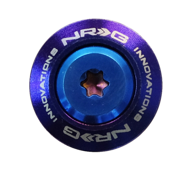 NRG TI Series Fender Washer Kit M6 Bolts for Plastic (10 Pack) - OneFastShop