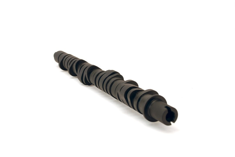 Skunk2 Tuner Series Stage 4 Camshaft for Honda D-Series - Fits Various Civic Models