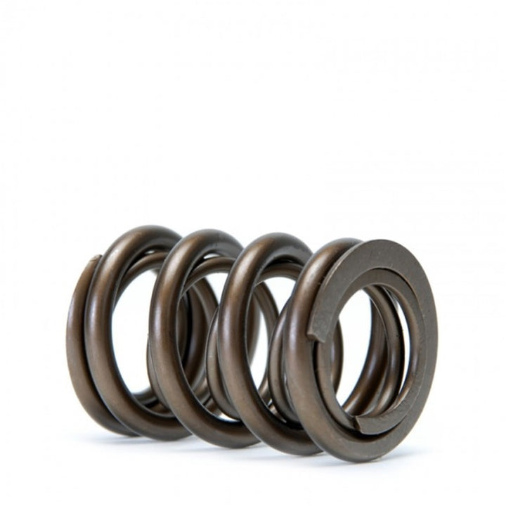 Skunk2 Tuner Series Alpha Valve Spring Set Dual Springs for Honda/Acura H22A F20B 1993-2001 Prelude