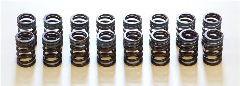 HKS Outer Valve Spring Set - Nissan SR20DET (Infiniti G20 1991-2000)