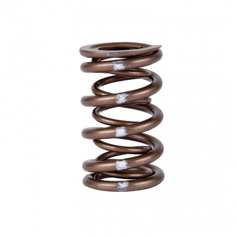 Skunk2 Pro Series XP Valve Spring Set for Honda/Acura K-Series i-VTEC (Dual Springs) - Fits Various Models
