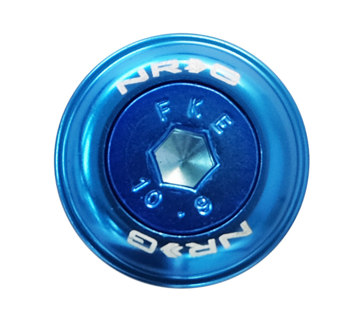 NRG Fender Washer Kit With Color Matched M6 Bolt Rivets (Blue) - Set of 10