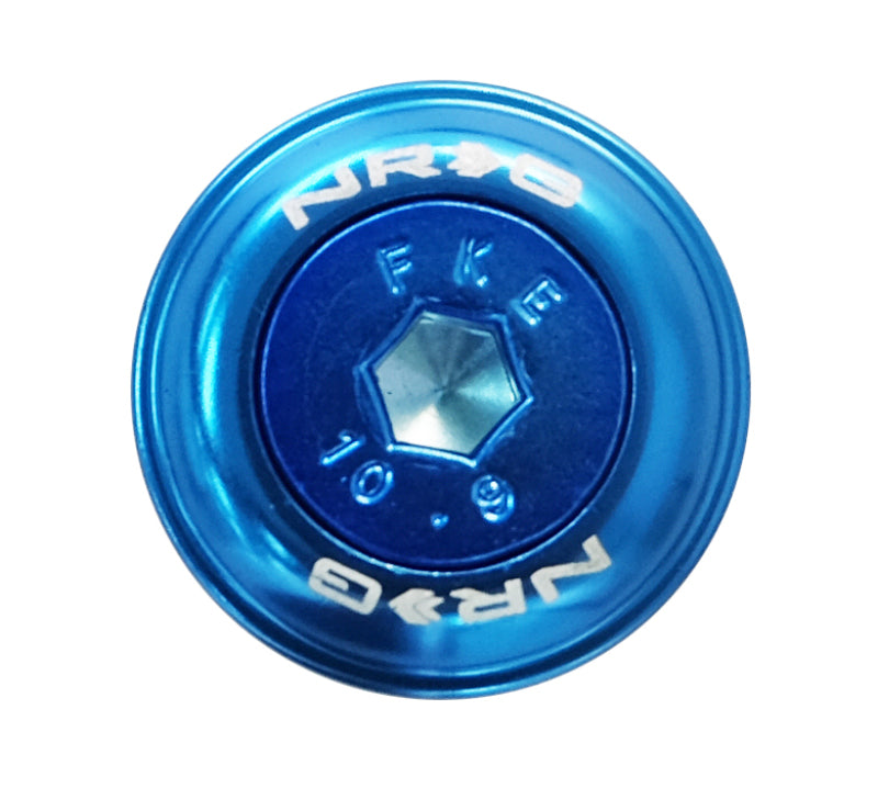 NRG Fender Washer Kit With Color Matched M6 Bolt Rivets (Blue) - Set of 10