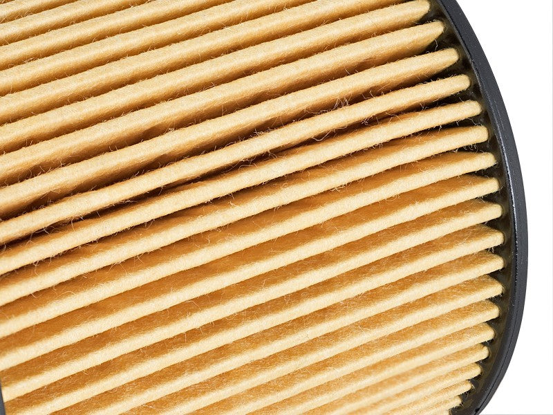 aFe Pro Guard D2 Oil Filter 06-19 for BMW Gas Cars L6-3.0T N54/55