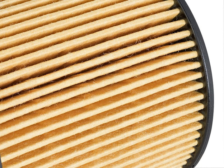 aFe Pro Guard D2 Oil Filter 06-19 for BMW Gas Cars L6-3.0T N54/55