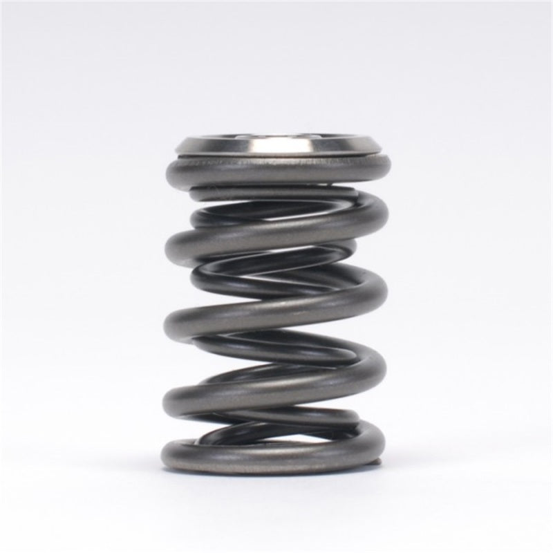 Skunk2 Alpha Series Valve Spring and Titanium Retainer Kit for Honda Acura K Series 2002-2011 RSX Civic Accord CR-V Element