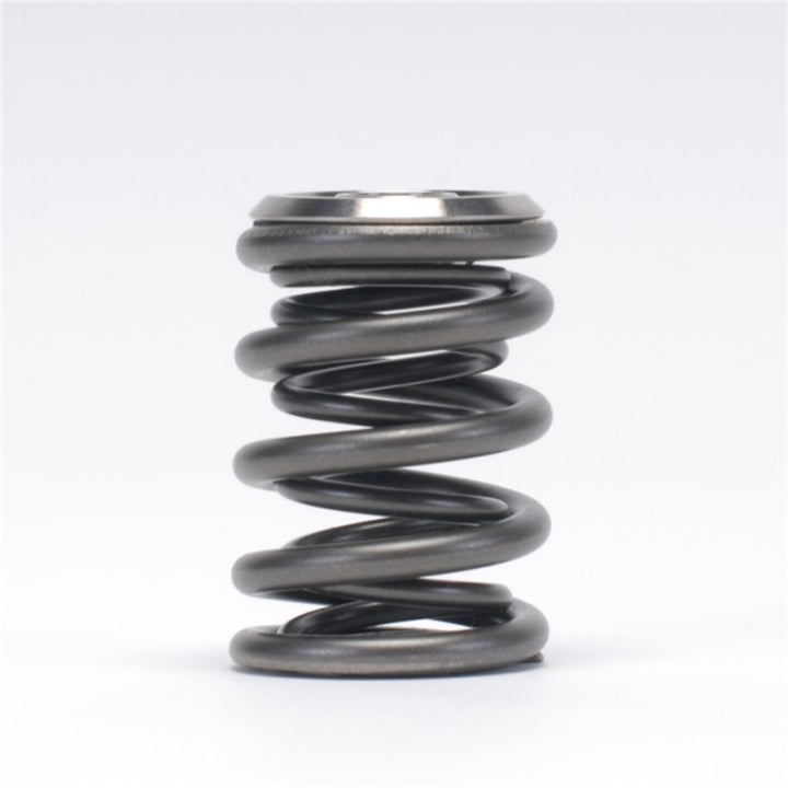 Skunk2 Alpha Series Valve Spring and Titanium Retainer Kit for Honda Acura K Series 2002-2011 RSX Civic Accord CR-V Element