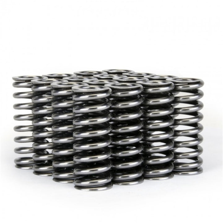 Skunk2 Alpha Series Honda D Series VTEC Valve Spring Set for Acura Integra 1986-1989 and Honda Civic 1988-2000 - OneFastShop