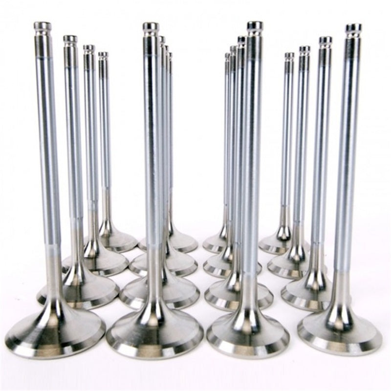 Skunk2 Alpha Series Valve Set Standard Compression Honda/Acura H Series 1993-2001 Prelude