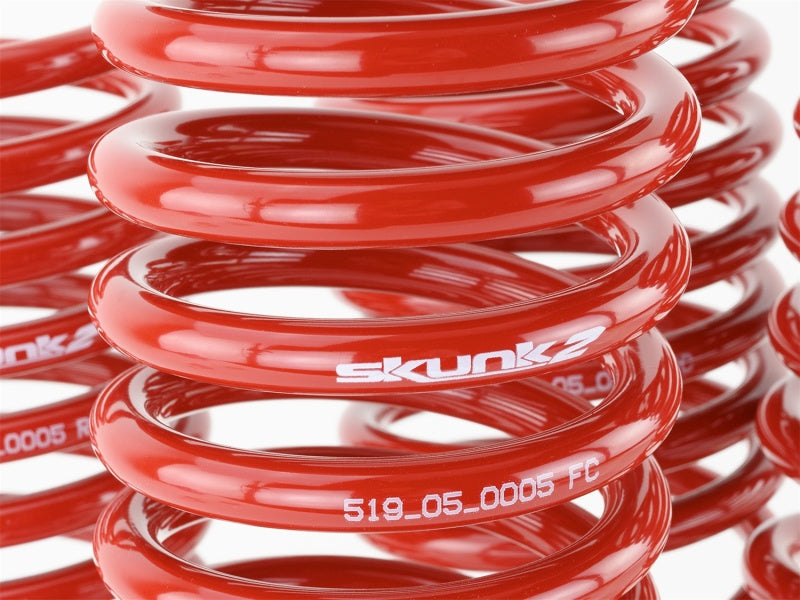 Skunk2 Racing Lowering Springs Set of 4 2.50in - 2.25in for 96-00 Honda Civic CX DX EX GX HX LX Si
