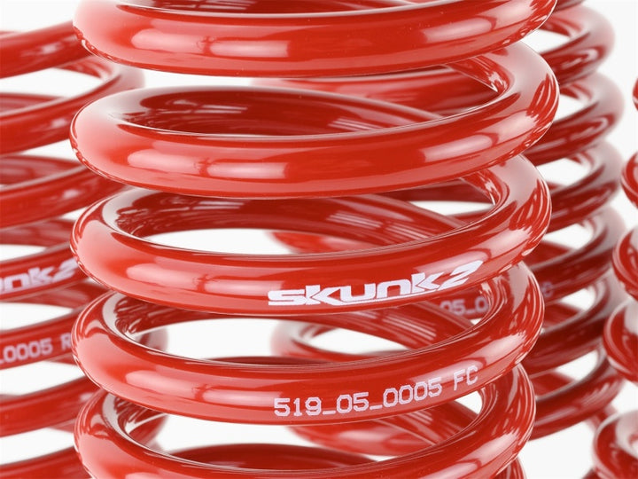 Skunk2 Racing Lowering Springs Set of 4 2.50in - 2.25in for 96-00 Honda Civic CX DX EX GX HX LX Si