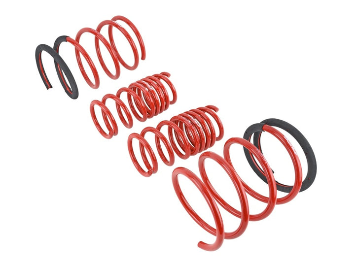 Skunk2 Lowering Springs Set of 4 2.25in - 2.00in for 05-06 Acura RSX - OneFastShop