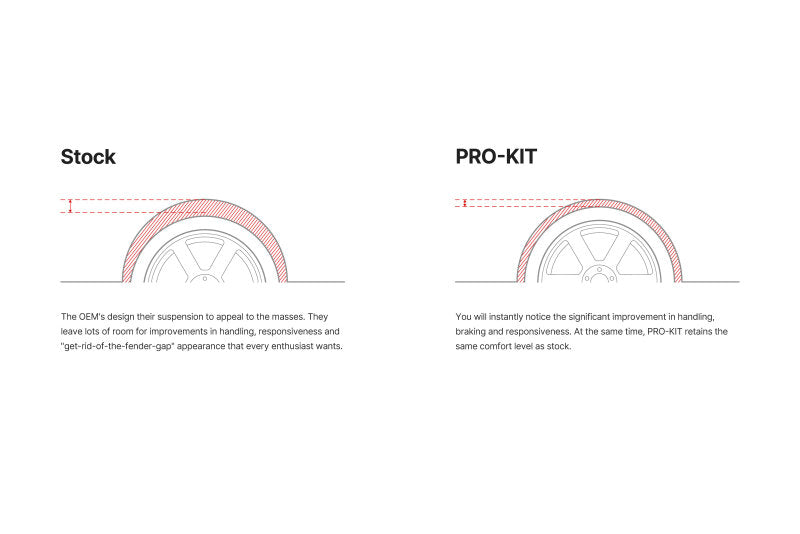 Eibach Pro-Kit EV For 24-25 Tesla Model Y RWD Eibach