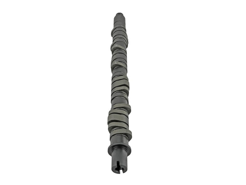 Skunk2 Tuner Series Stage 4 Camshaft for Honda D-Series - Fits Various Civic Models