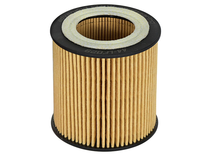 aFe Pro Guard D2 Oil Filter 06-19 for BMW Gas Cars L6-3.0T N54/55