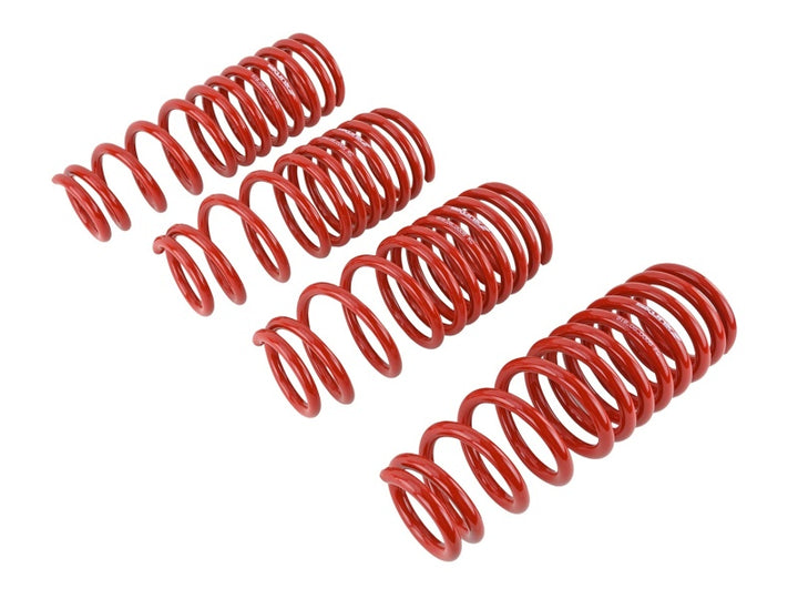 Skunk2 Racing Lowering Springs Set of 4 2.50in - 2.25in for 96-00 Honda Civic CX DX EX GX HX LX Si