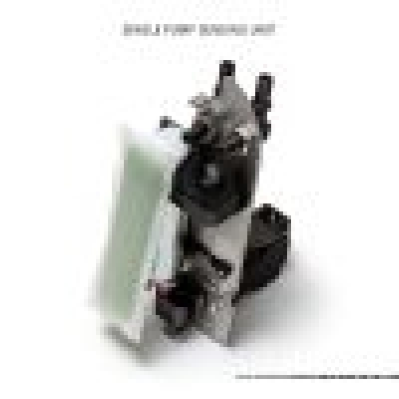 AMS Performance Omega Fuel System with Dual Pumps for 2009+ Nissan GT-R R35
