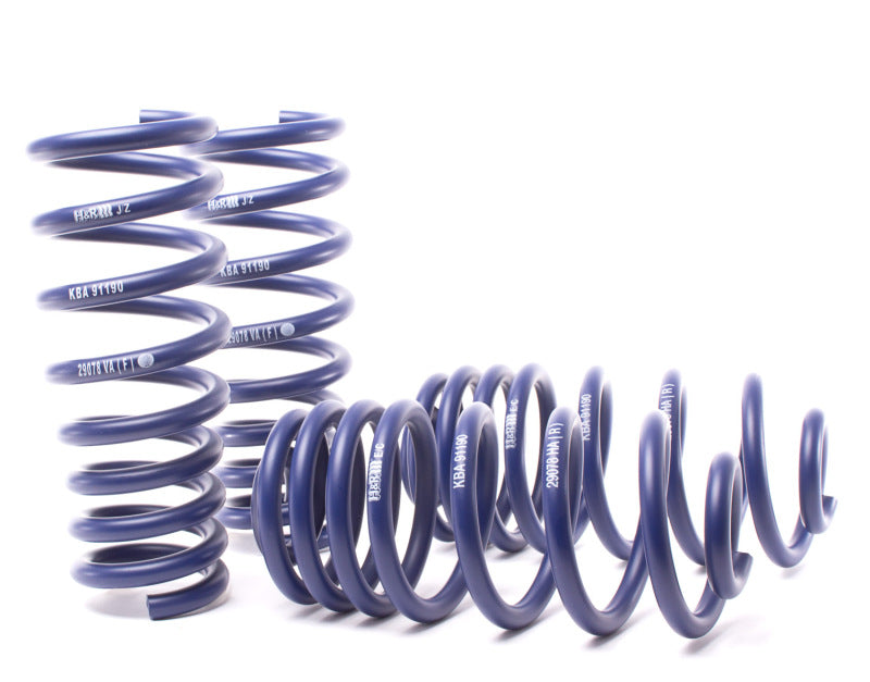 H&R Sport Lowering Springs - BMW X5 / X6 2007-2014 (without Self-Leveling) (50435-3)