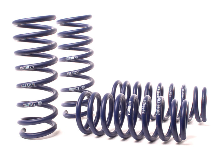 H&R 2012–2019 BMW 650i Coupe/650i xDrive Coupe F13 Sport Spring