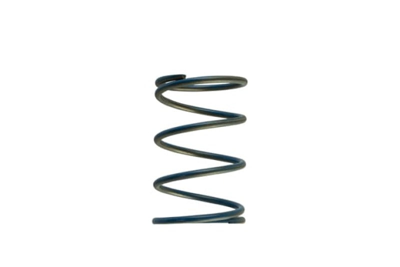 Turbosmart Gen-V WG45/50 14psi Blue Outer Spring for Turbo Performance