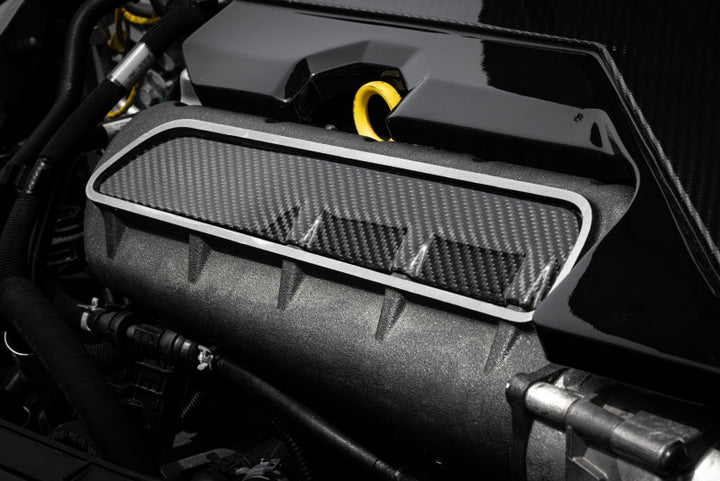 APR Carbon Fiber Intake Manifold Cover Plate - Audi RS3 / TT RS 2012-2026, view 2