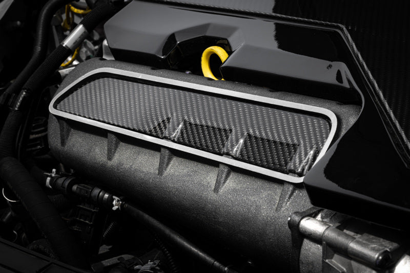 APR Carbon Fiber Intake Manifold Cover Plate - Audi RS3 / TT RS 2012-2026, view 2