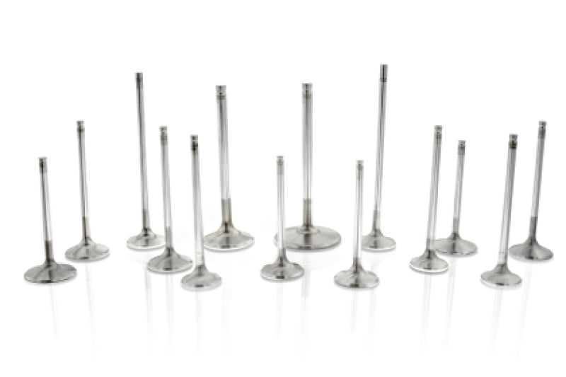 Ferrea Intake Valve 32.8mm 5.47mm Stem Set6 Toyota G16E-GTS