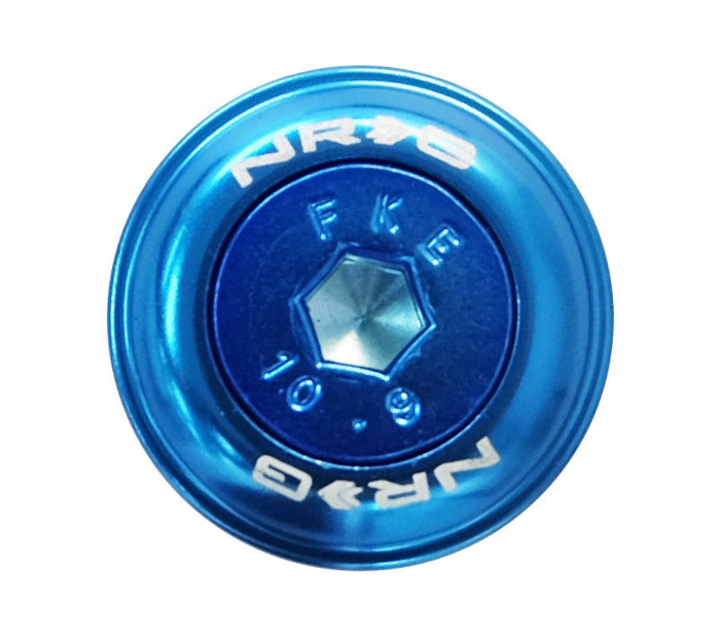 NRG Fender Washer Kit With Color Matched M6 Bolt Rivets (Blue) - Set of 10