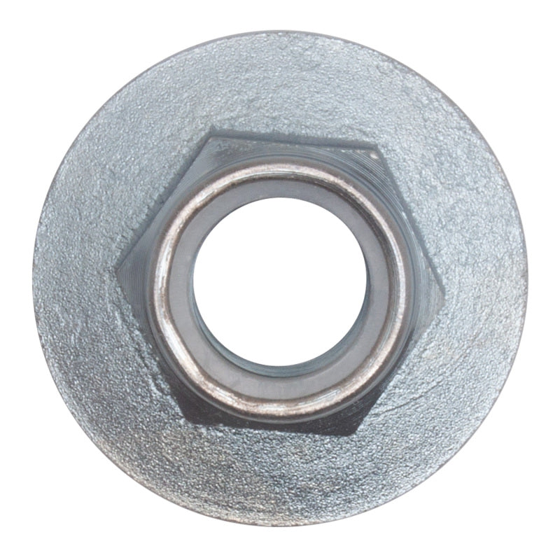 DFC 04-08 Ford F-150 RWD Front Bearing Nut DFC Front