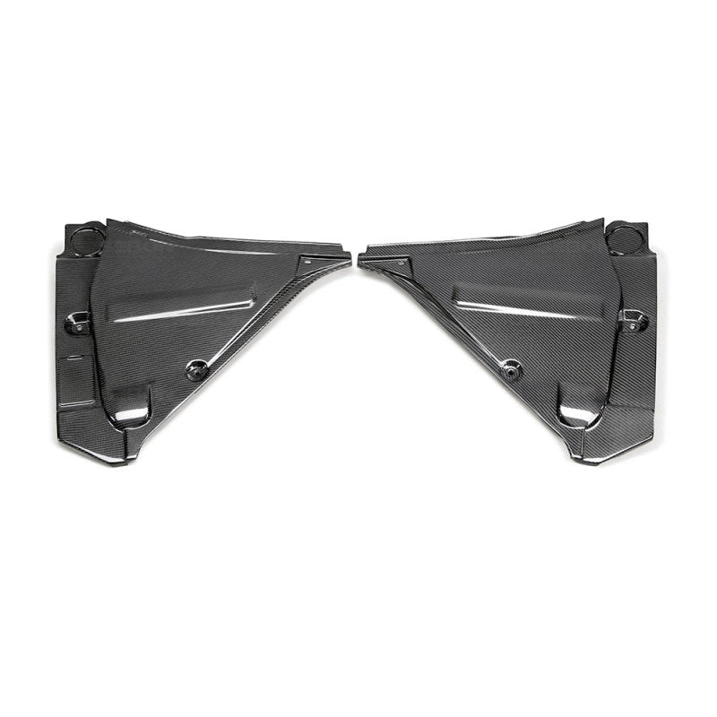 Seibon Carbon Fiber Cooling Plate for Nissan GT-R R35 09-10