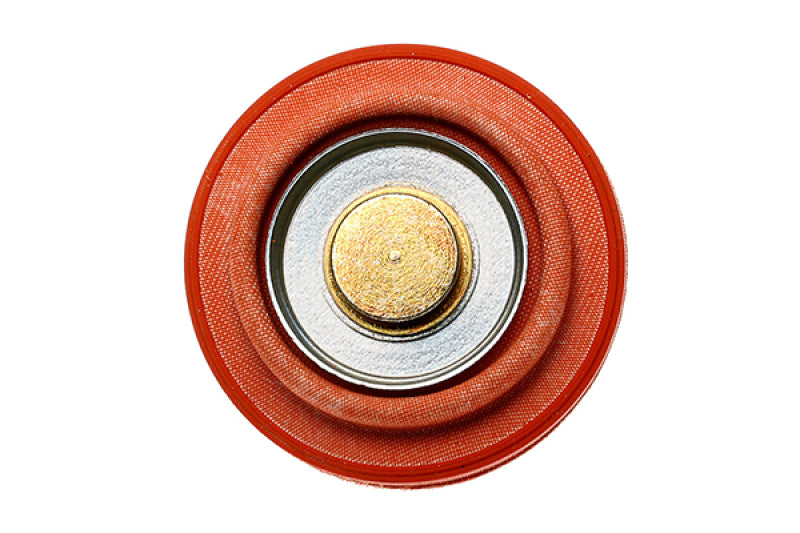 Radium Engineering Diaphragm Service Replacement FPD - OneFastShop