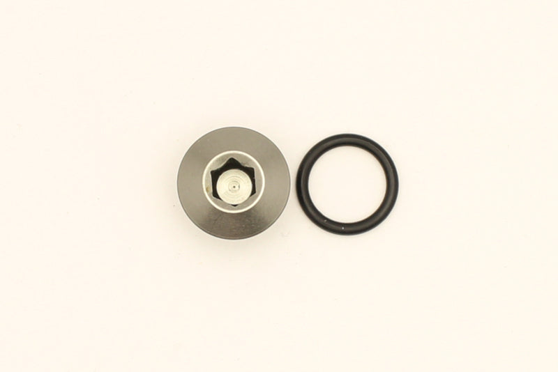 DeatschWerks 6AN ORB Male Plug