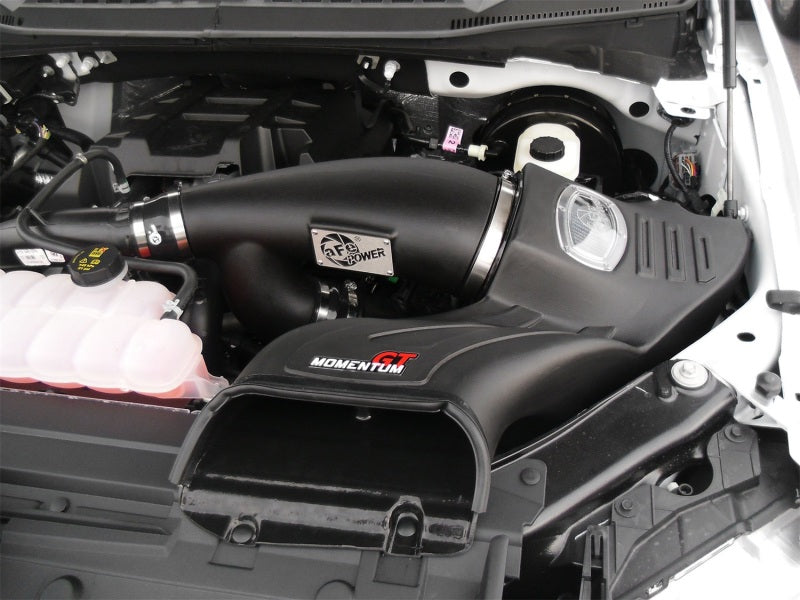 aFe Momentum GT Pro DRY S Air Intake System - Ford F-150 EcoBoost V6-2.7L/3.5L (2016)