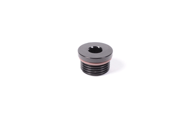 Radium Engineering 8AN ORB Plug for Fuel and Oil Systems