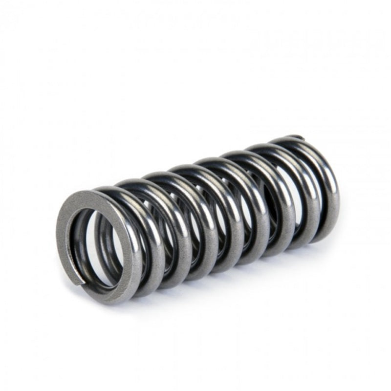 Skunk2 Alpha Series Honda D Series VTEC Valve Spring Set for Acura Integra 1986-1989 and Honda Civic 1988-2000
