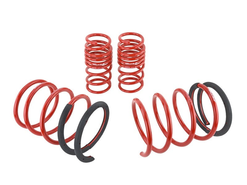 Skunk2 Lowering Springs Set of 4 2.25in - 2.00in for 05-06 Acura RSX - OneFastShop