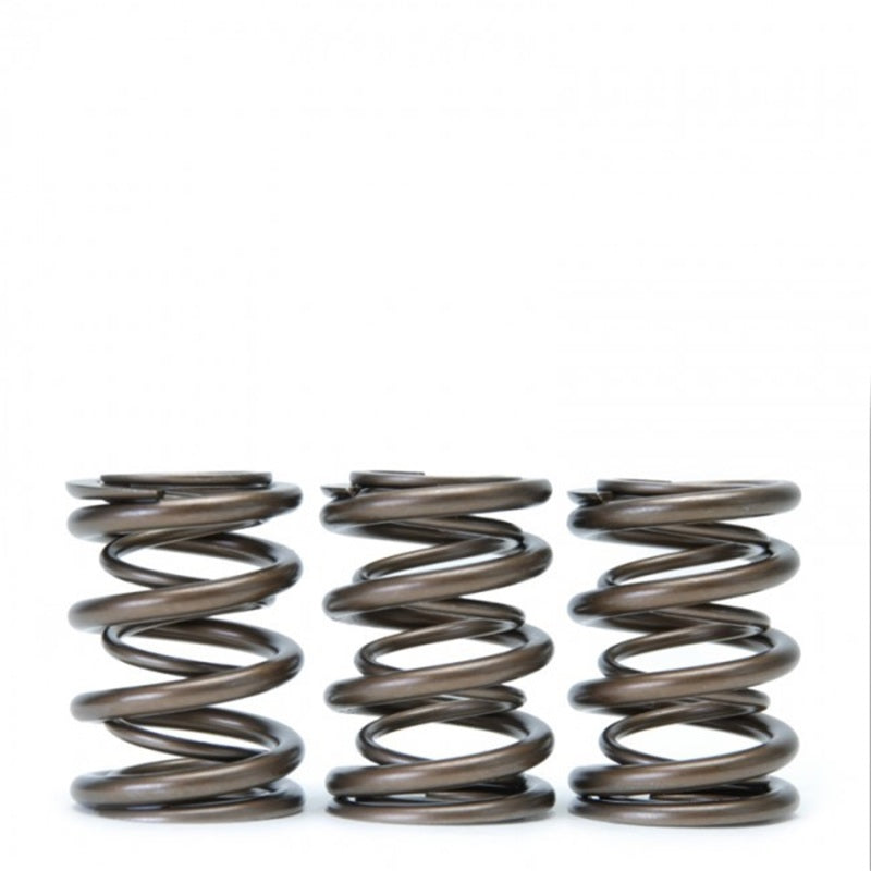 Skunk2 Racing Alpha Valve Spring Set for Honda/Acura B16A/B17A/B18C DOHC VTEC Compatible with 1990-2001 Acura Integra Models