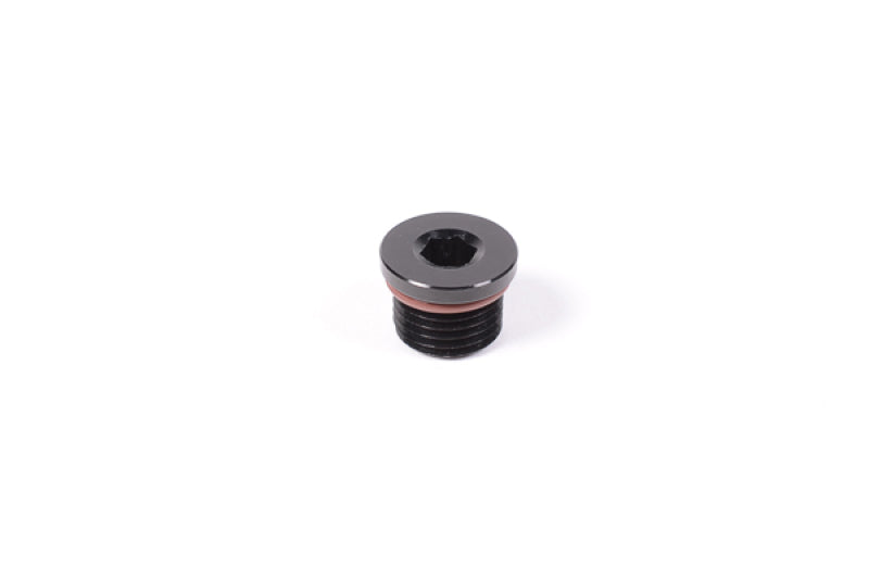 Radium Engineering 6AN ORB Plug - Universal