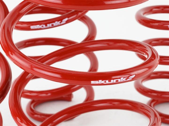 Skunk2 Lowering Springs - Honda Civic (2016-2018), view 2