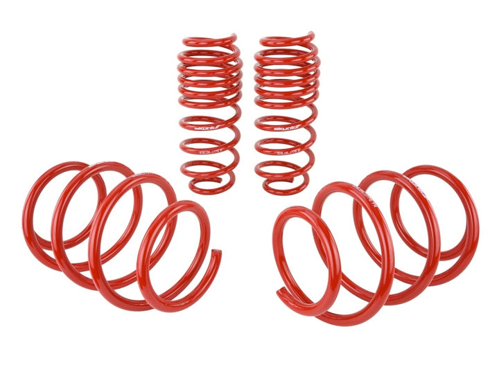 Skunk2 Lowering Springs - Honda Civic (2016-2018), view 3